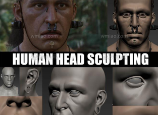 ͷ̽ģ̳Human Head Sculpting by Peter Zoppi