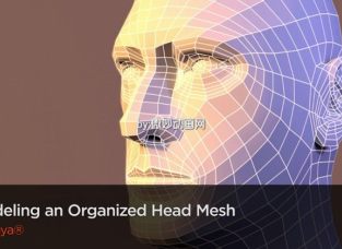 ȽMAYAνģƵ̳Modeling an Organized Head Mesh in Maya