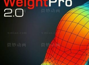 һMAXƤ 2013-2020汾Weight_Pro_2.01