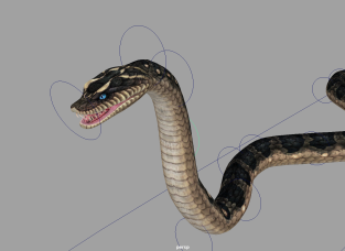 超写实的一条蛇Maya模型带绑定有贴图 蛇皮蛇身可调整