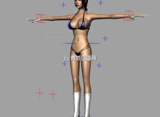 性感的比基尼美女女人Maya模型下载  写实女人模型下载