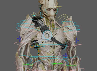 ӻ˸³Groot Rig(Guardians of the Galaxy) w textures