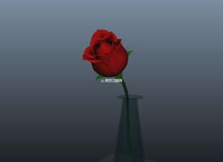 一朵玫瑰花和花瓶maya模型下载