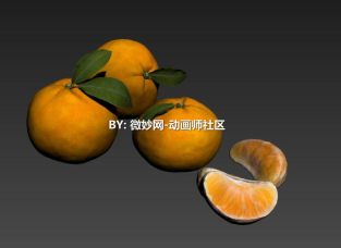 橘子 水果 桔子3dmax模型带贴图下载