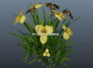 鲜艳漂亮的花草maya模型  小草3d模型下载