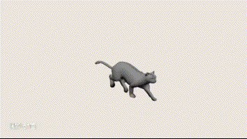 一只猫跑的动画参考 小猫奔跑