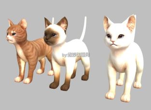 三只可爱的暹罗猫3DMAX模型下载  白猫 虎斑猫 黄猫 萌猫模型