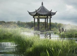 ʹ V-Ray Scatter  Maya һ󾰹Creating a Swampy Landscape Using ...