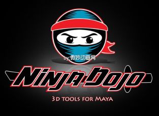 Ninja Dojo GrandMaster 