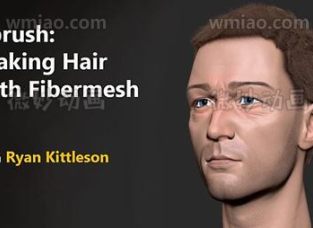 ZBrush ʹ FiberMesh ͷ̳ZBrush Making Hair with FiberMesh