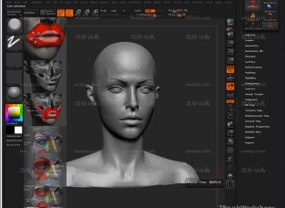 沿ṹ̳Uartsy - Anatomy of the Face for Artists