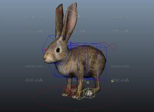 可爱的小兔子maya模型带绑定贴图