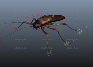 一只蟑螂maya模型带绑定小强动物rig