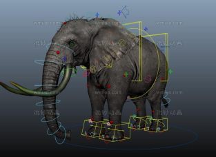 电影级大象maya模型带绑定