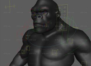 全副武装的金刚大猩猩Maya模型带贴图绑定Kong gorilla full rigged