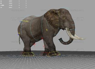写实大象Maya模型带绑定贴图下载，带大象走路动画