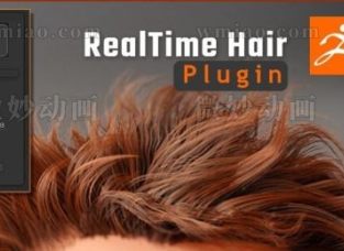 ZBrushʵʱͷ Real-time Hair