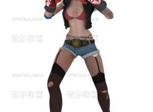 Female Boxeur模型ADV绑定，带表情