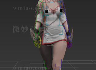 cs绑定性感女角色3dmax模型，巨好用